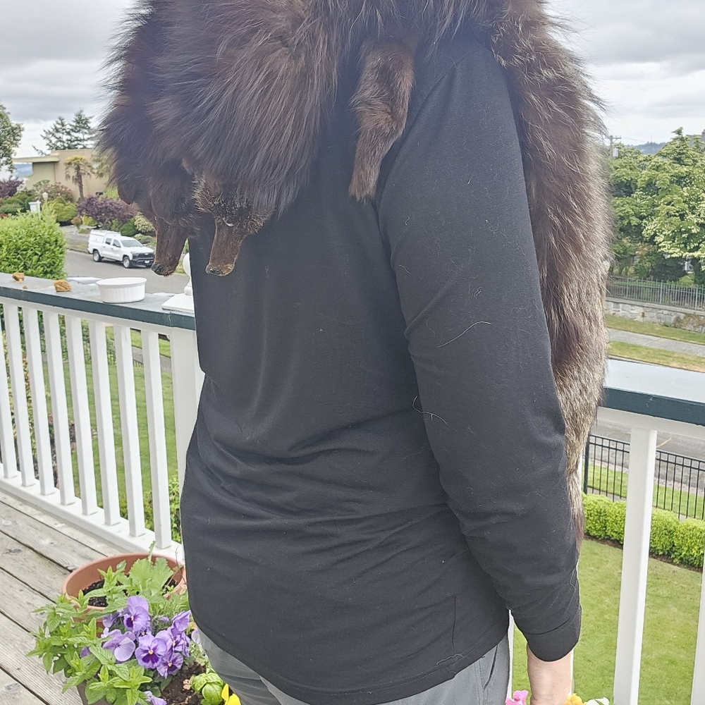 Vintage Fox Fur Stole - Picture 5 of 15